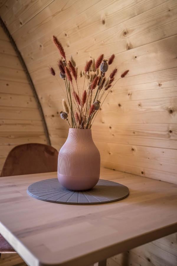 Luxe Woodlodge In Een Prachtige En Bosrijke Omgeving Bornerbroek 外观 照片